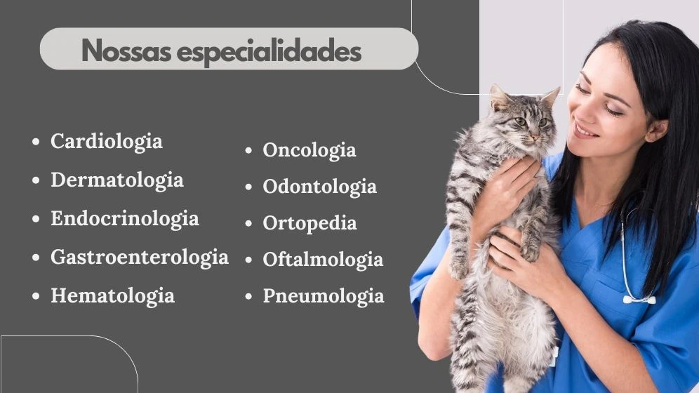 Nossas especialidades