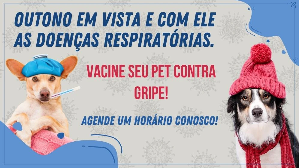 Campanha de gripe