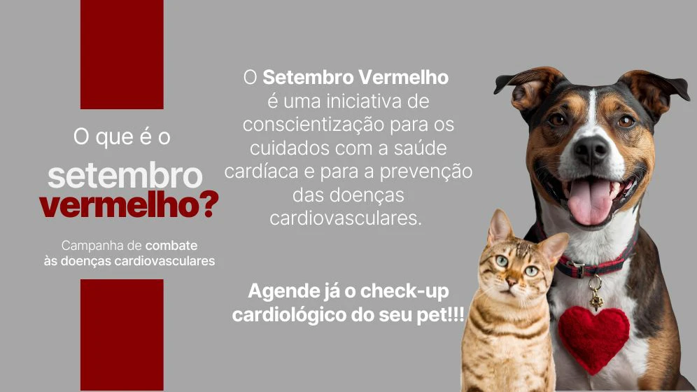 setembro vermelho