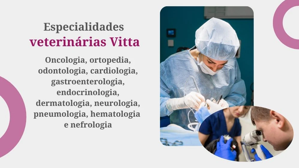 especialidades
